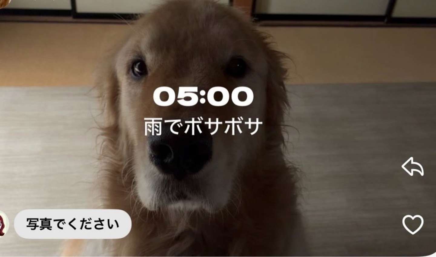 ＠i7u1vさんの投稿より、05:00
