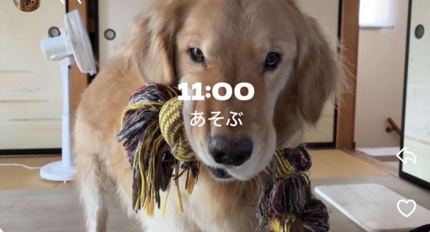 ＠i7u1vさんの投稿より、11:00