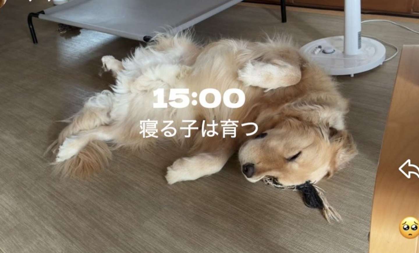 ＠i7u1vさんの投稿より、15:00