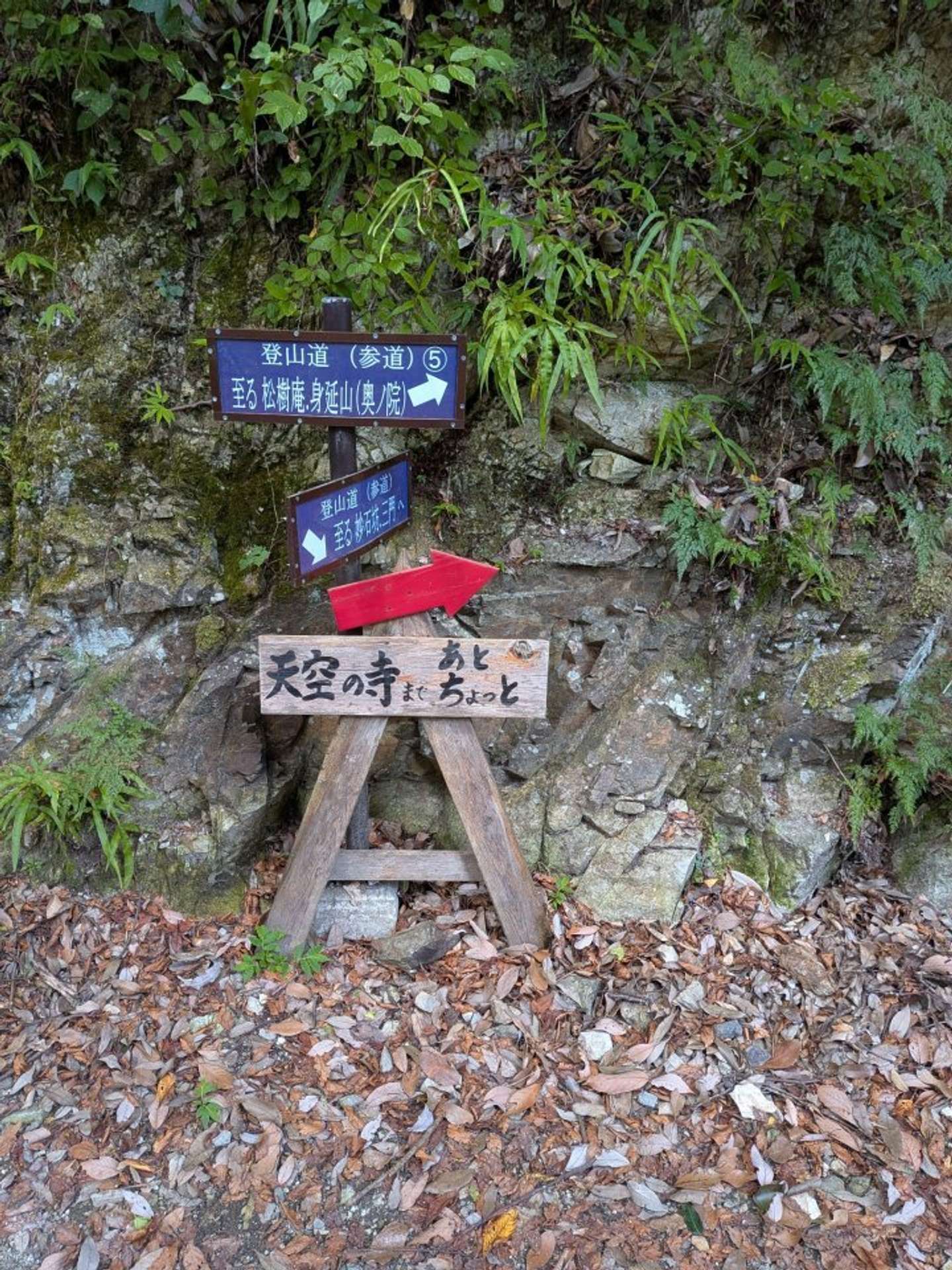 さらに下の看板（画像提供：たけひこさん）