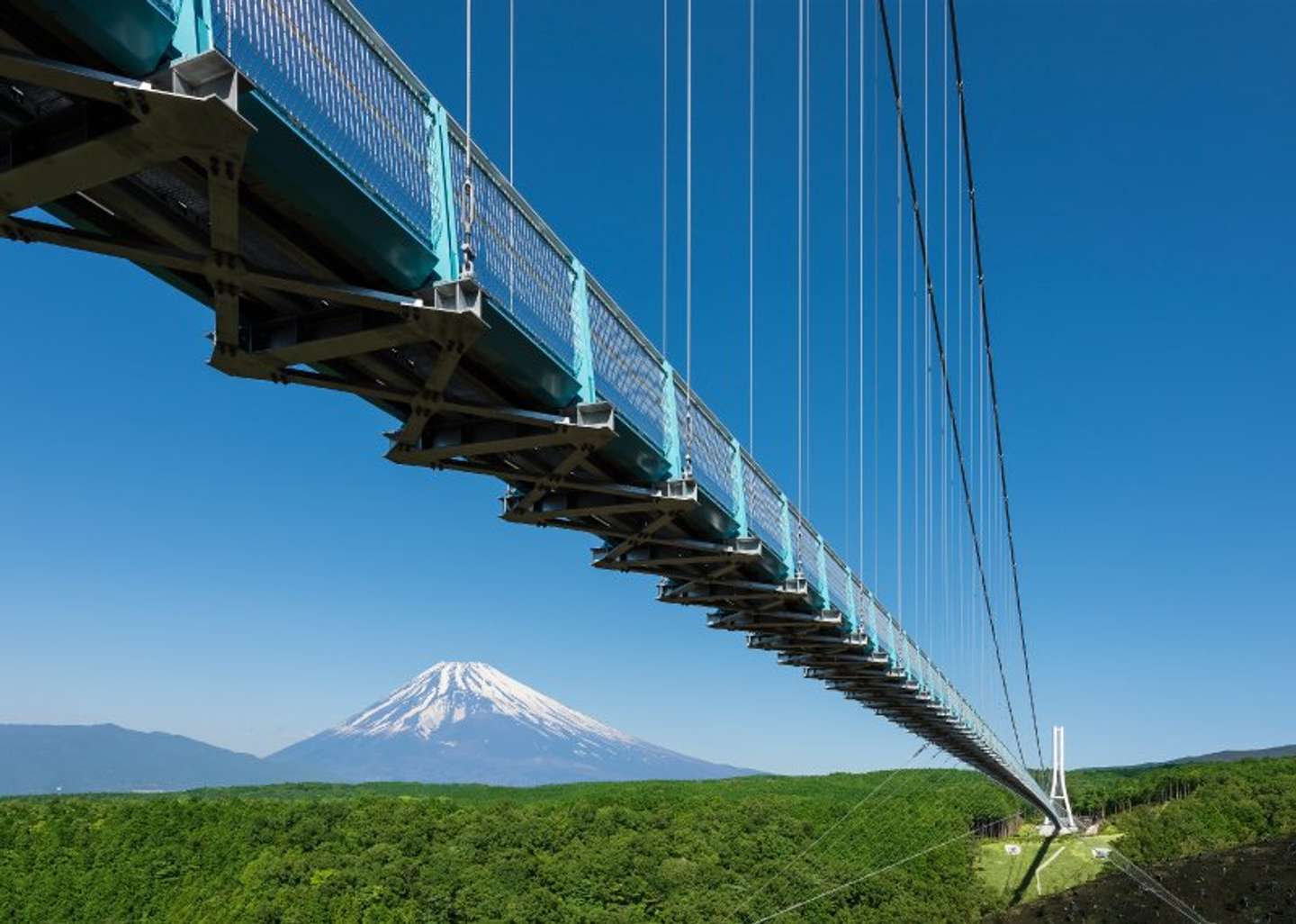 三島スカイウォーク（画像はプレスリリースより）