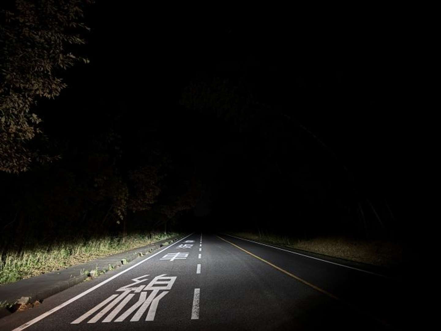 夜のドライブ中に…