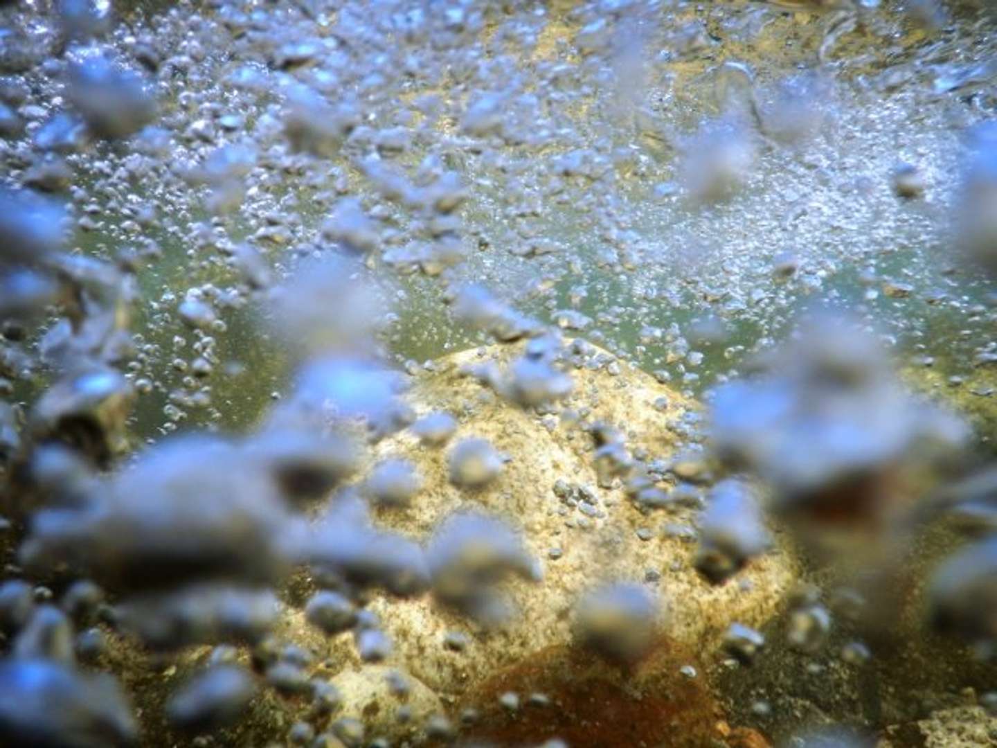 私を助けようとして、姉や母までも…（画像はphotoAC）