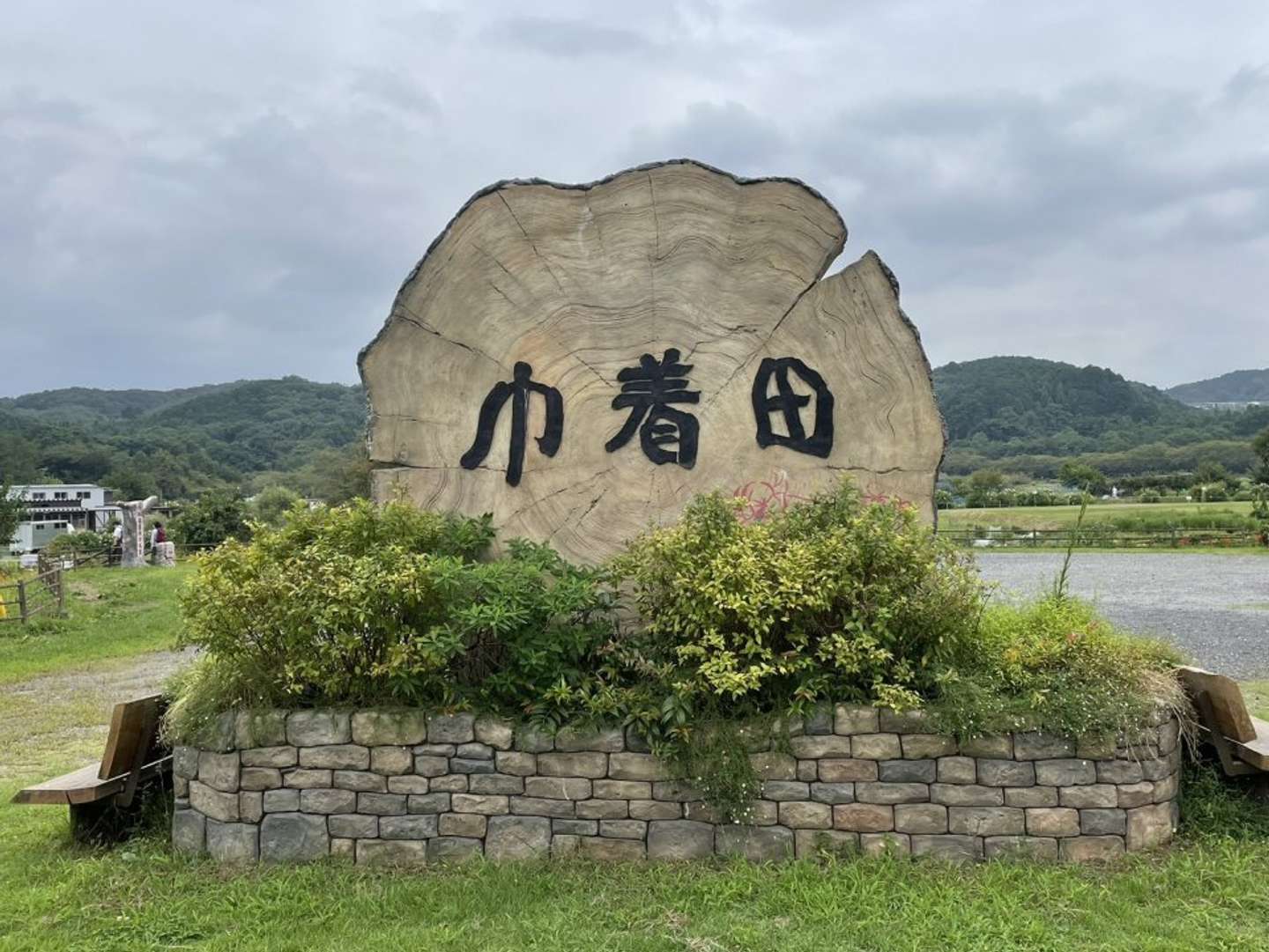 巾着田