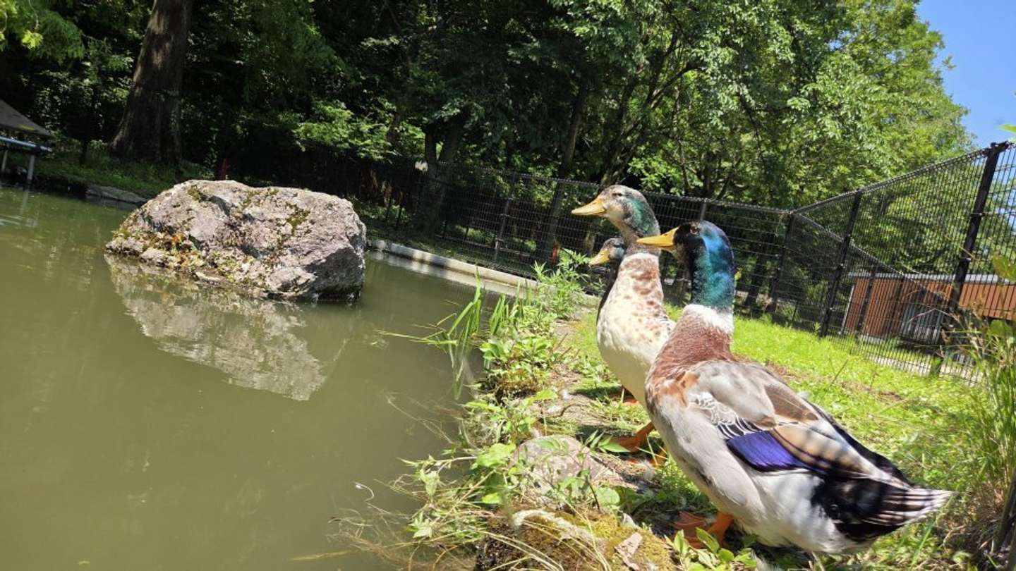 関連した名前でインパクトを（画像提供：樽ケ橋遊園）