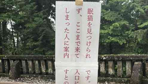 「この場所で探してもいません」　日光東照宮の〝注意書き〟に5.2万人大感謝「なんて優しい」「たすかる」