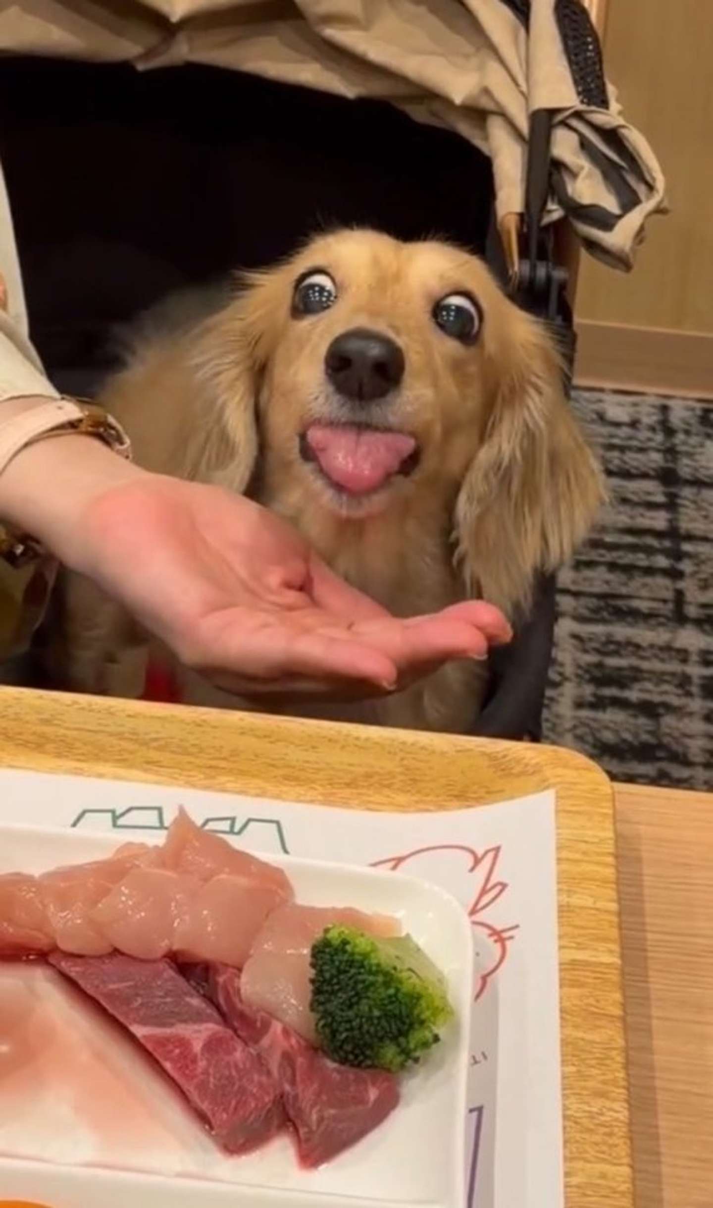 ＠kina_mofumofuさんの投稿より、もっとください！