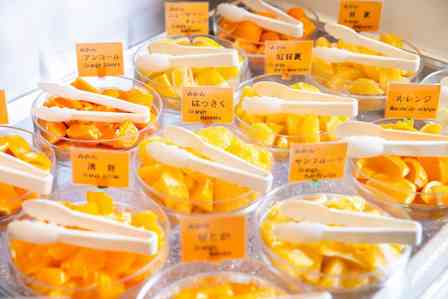 「さすが愛媛」「人生で一番みかん食べた」　松山市「ホテル道後やや」の朝食バイキングに感動の声