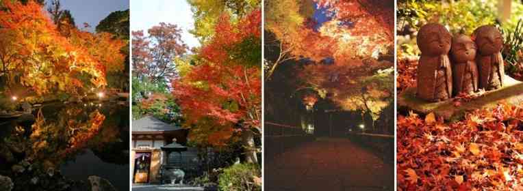 長谷寺で、鎌倉屈指の紅葉を楽しむ　「ホテルメトロポリタン 鎌倉」秋の特別ステイプラン販売中