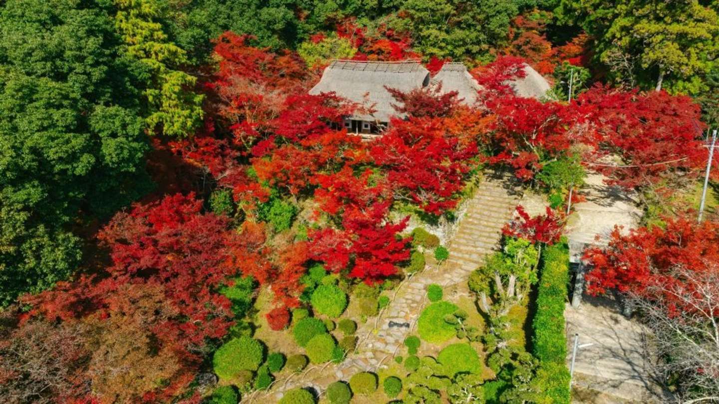 九年庵
