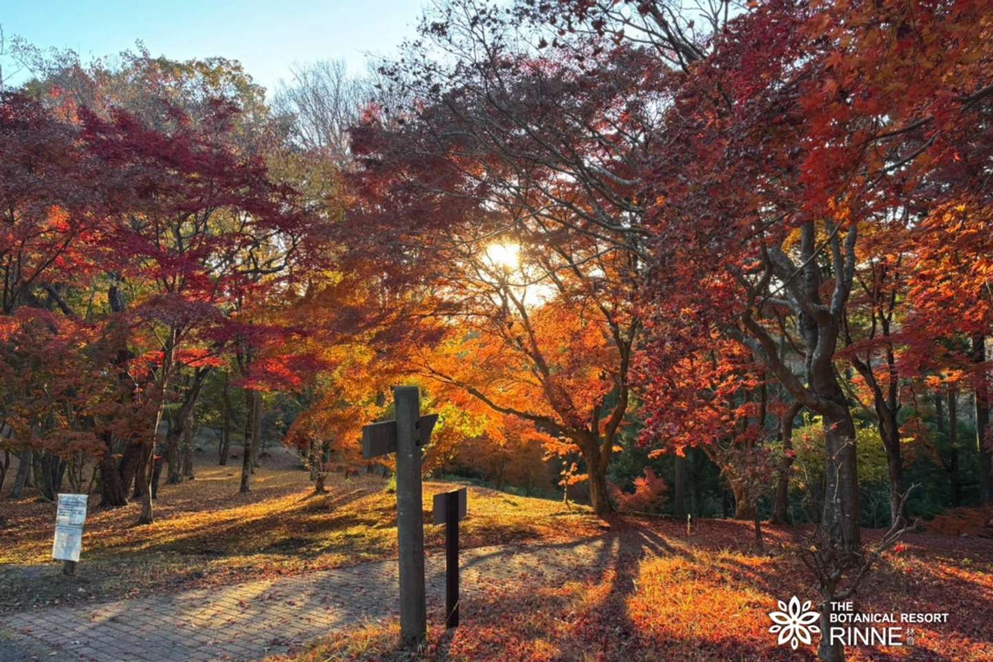 THE BOTANICAL RESORT 林音