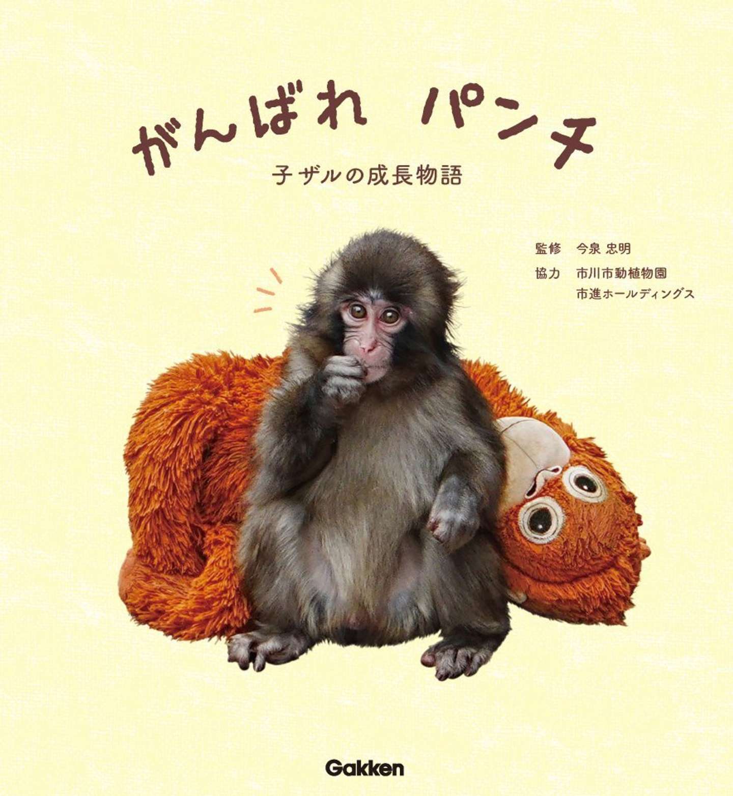 『がんばれ パンチ　子ザルの成長物語』（Gakken）（画像はプレスリリースより、以下同）