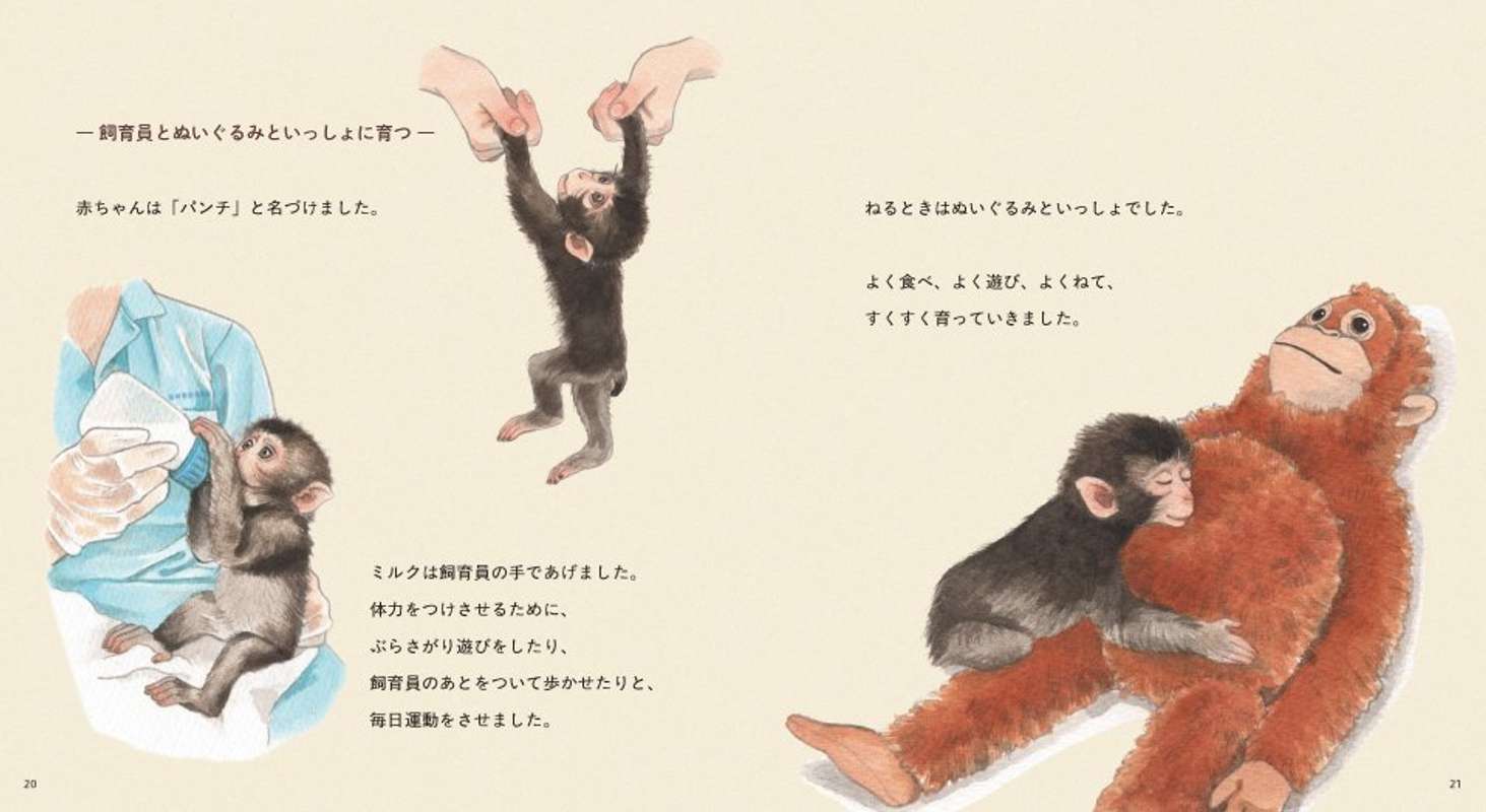 『がんばれ パンチ　子ザルの成長物語』（Gakken）