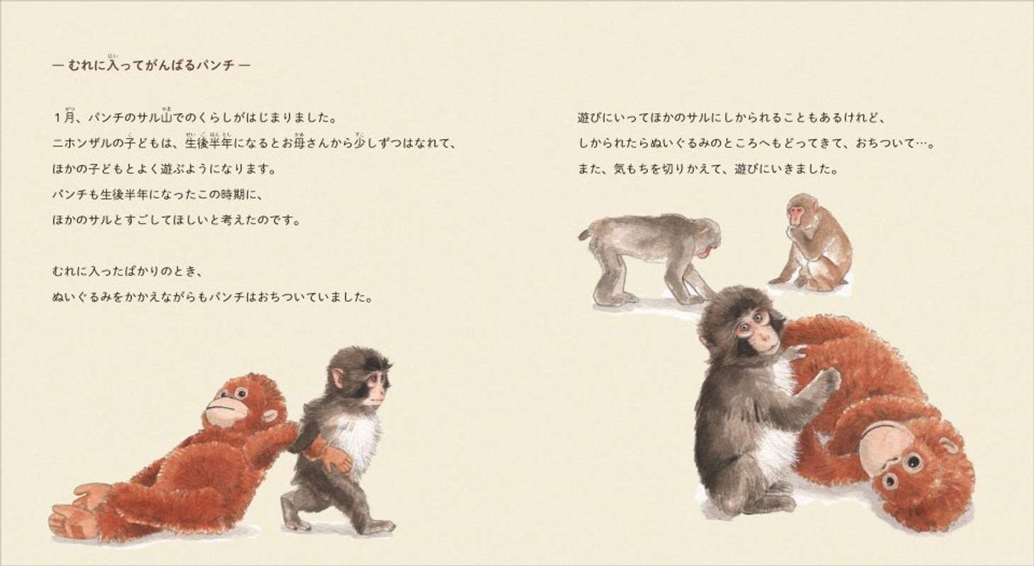 『がんばれ パンチ　子ザルの成長物語』（Gakken）