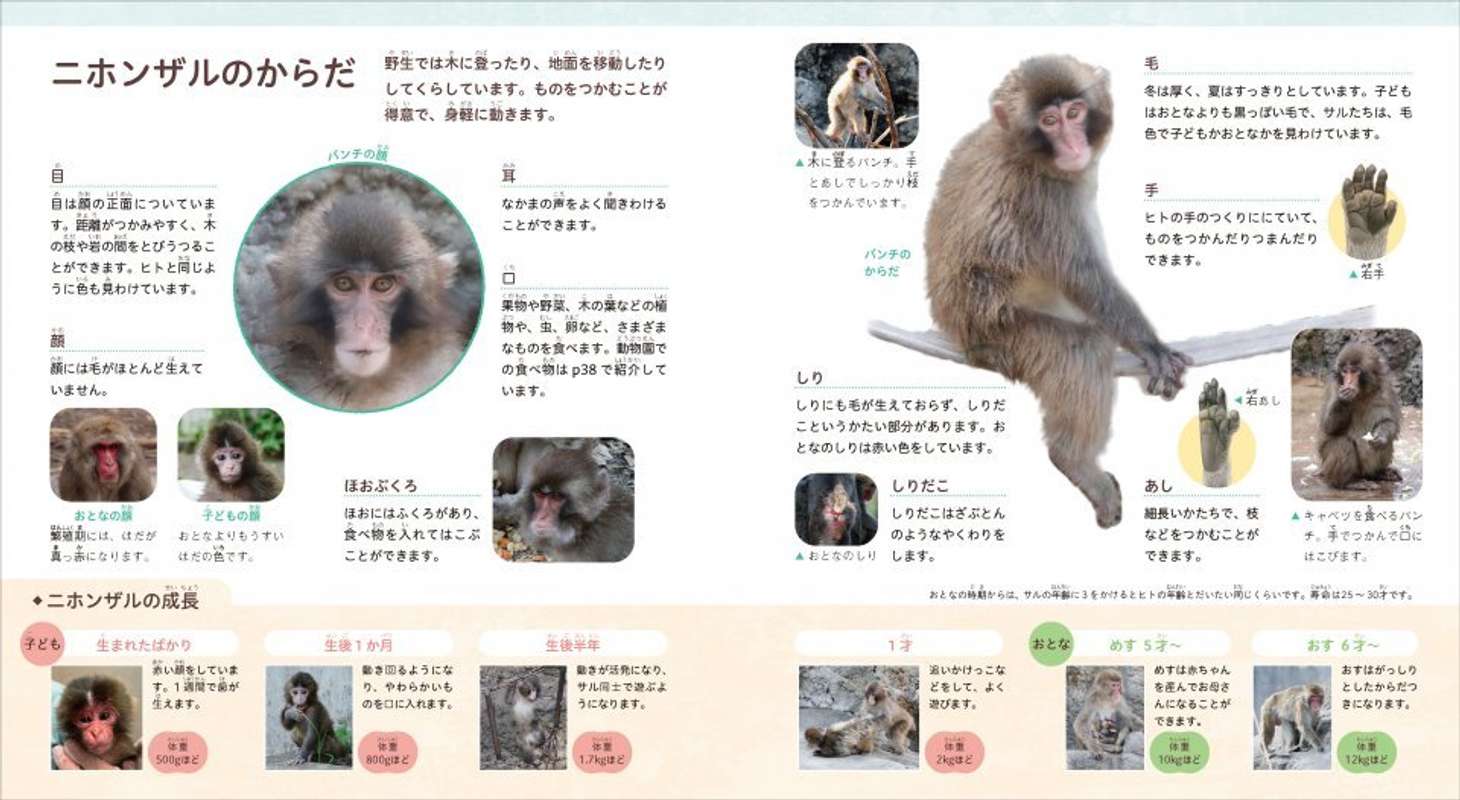 『がんばれ パンチ　子ザルの成長物語』（Gakken）