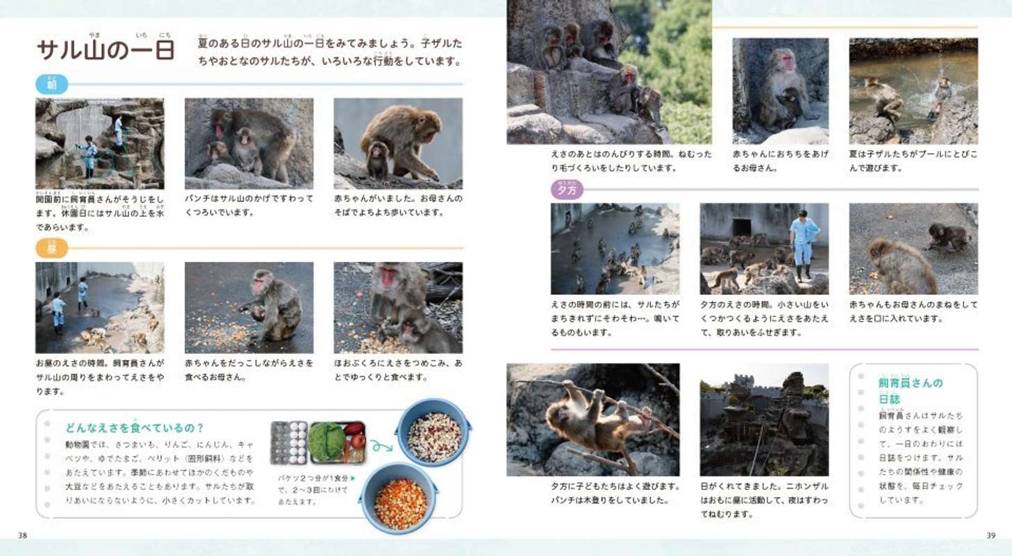 『がんばれ パンチ　子ザルの成長物語』（Gakken）