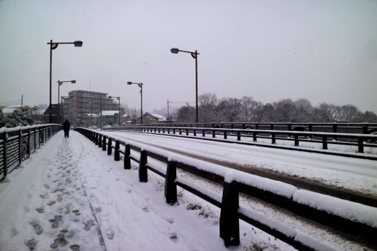 ある雪の日に（画像はphotoACより）