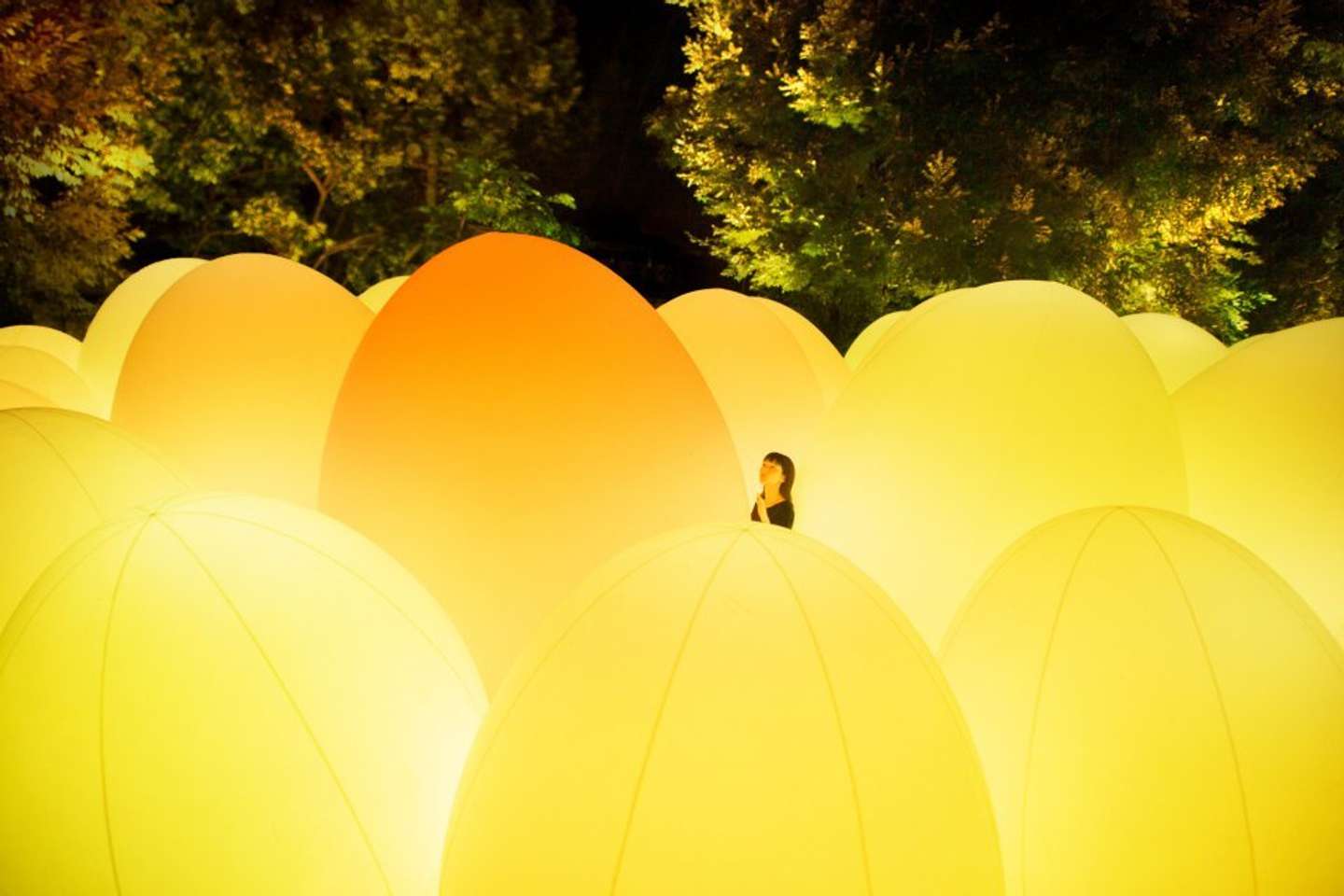 teamLab, Autonomous Resonating Life, 2017- （C) teamLab　*Photo from a previous exhibition ／ 過去の展示写真 *Shot in real space. No AI or CGI.