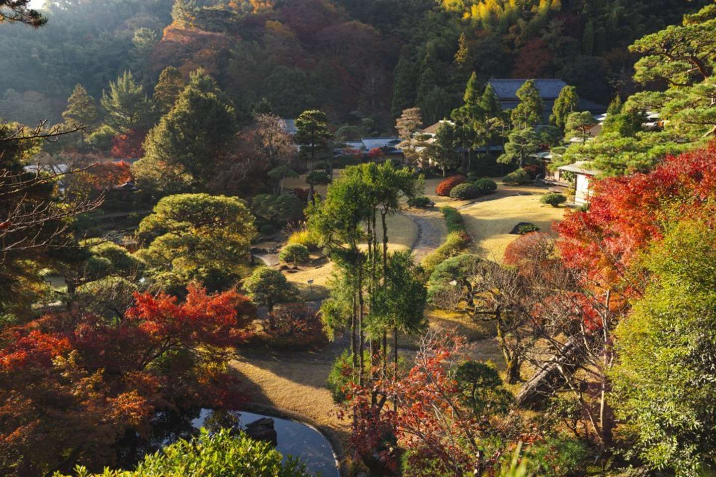 秋の日本庭園イメージ（画像はプレスリリースより、以下同）