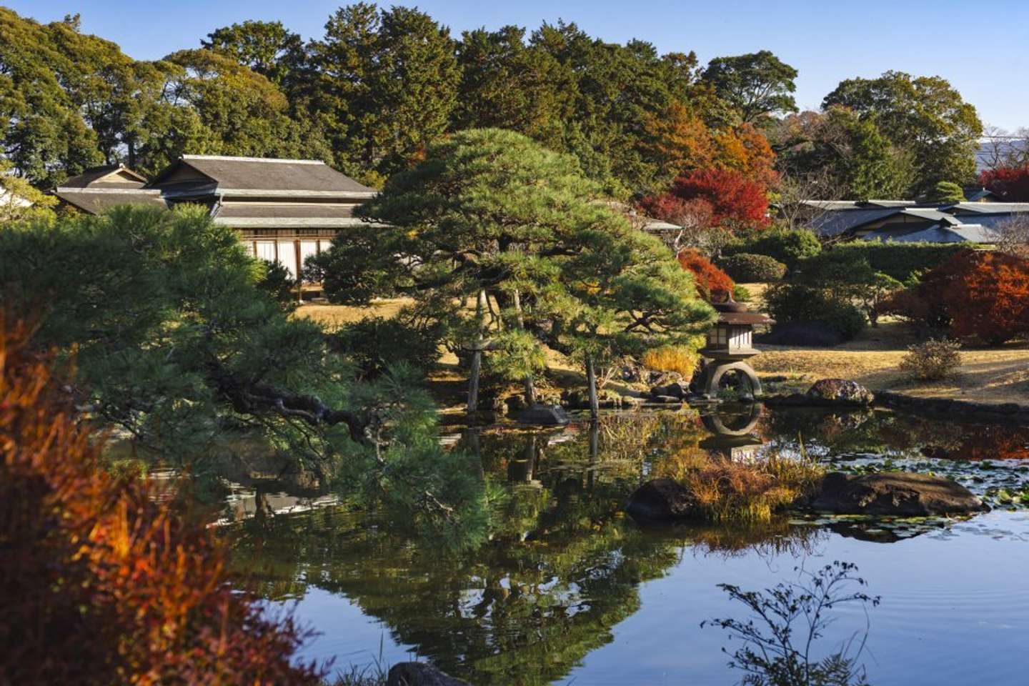 秋の日本庭園イメージ